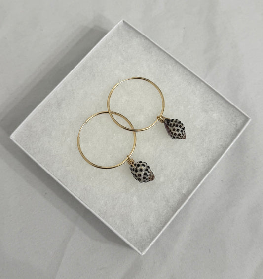 DRUPE HOOPS